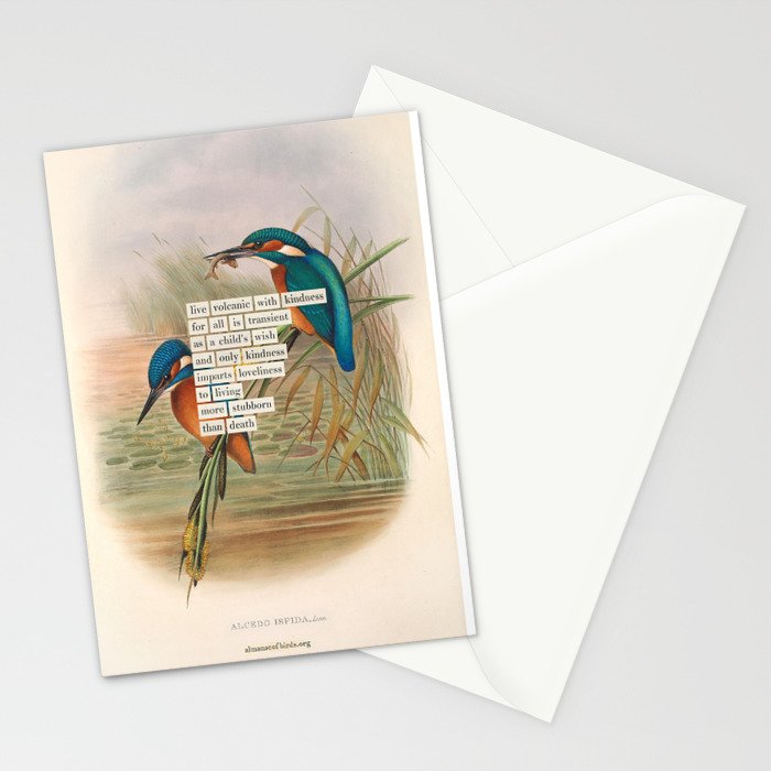 Bird Divinations: Kingfisher (about: almanacofbirds.org) Stationery Card Gallery Image 2