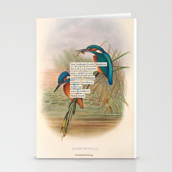 Bird Divinations: Kingfisher (about: almanacofbirds.org) Stationery Card Gallery Image 2
