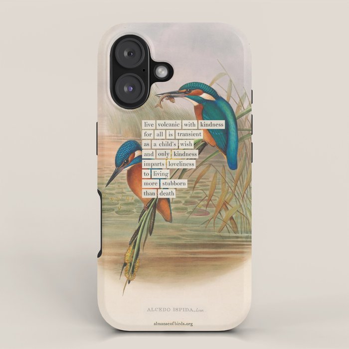 Bird Divinations: Kingfisher (about: almanacofbirds.org) iPhone Case Gallery Image 1