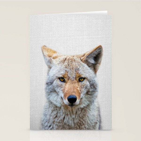 Coyote - Colorful Stationery Card Gallery Image 1