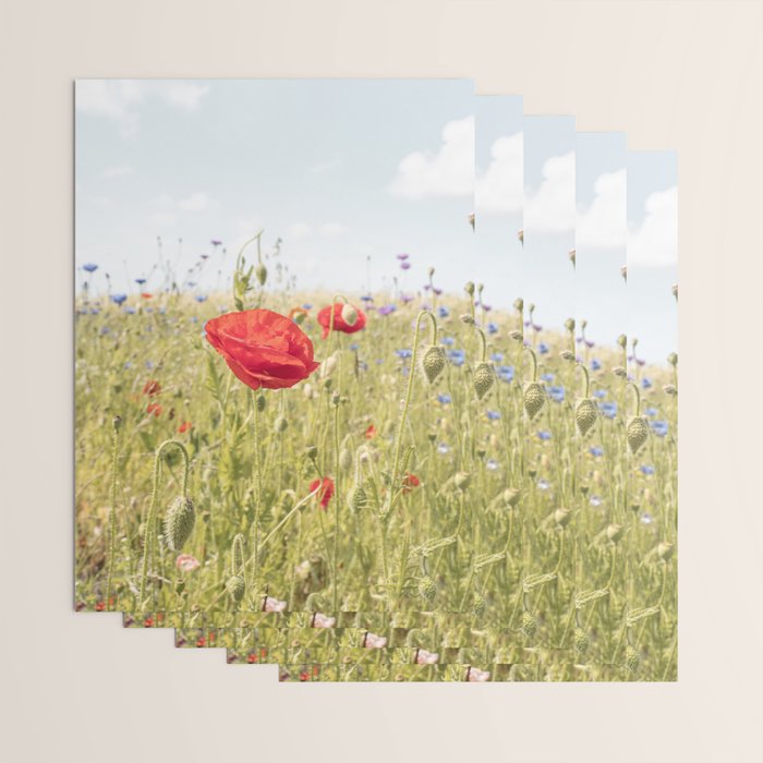 Wildflower Field | Poppy Flower in a Garden in Holland Art Print | Floral Summer Photography Wrapping Paper Gallery Image 3