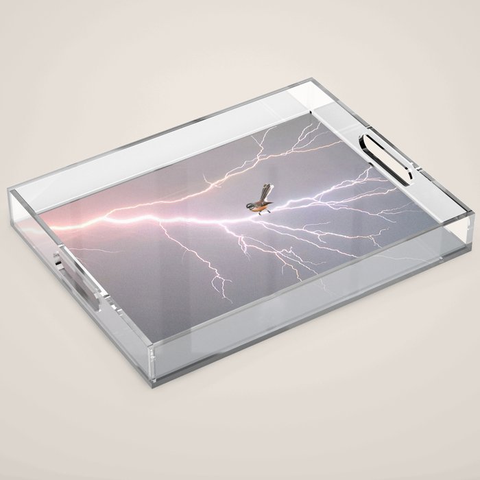 Bird on lightning bolt - Fantail Acrylic Tray Gallery Image 1
