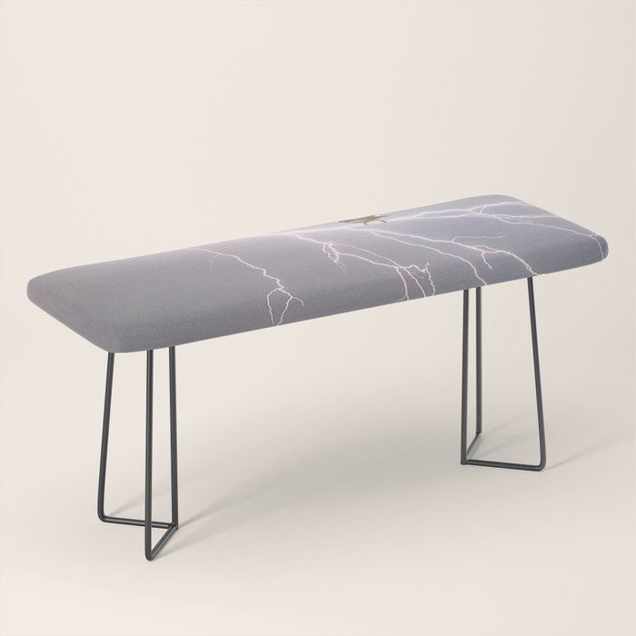 Bird on lightning bolt - Fantail Bench Gallery Image 1