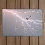 Bird on lightning bolt - Fantail Outdoor Rug Gallery Image 1