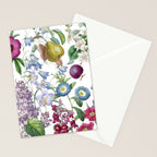 Summer Fruits Botanical Illustration Collage Stationery Card Gallery Image 2