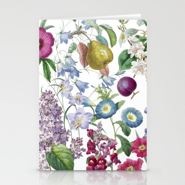 Summer Fruits Botanical Illustration Collage Stationery Card Gallery Image 2