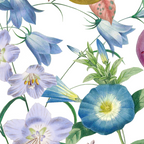 Summer Fruits Botanical Illustration Collage Coffee Mug Gallery Image 2