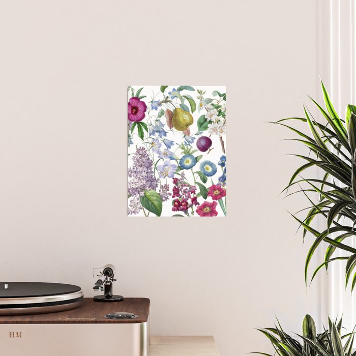 Summer Fruits Botanical Illustration Collage Poster Gallery Image 2