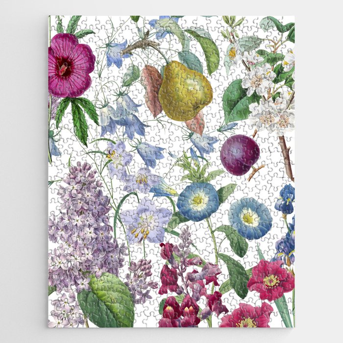 Summer Fruits Botanical Illustration Collage Jigsaw Puzzle Gallery Image 1