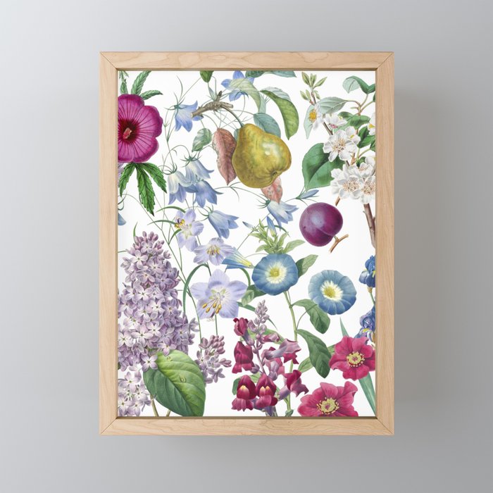 Summer Fruits Botanical Illustration Collage Mini Art Print Gallery Image 1