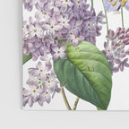 Summer Fruits Botanical Illustration Collage Poster Gallery Image 3