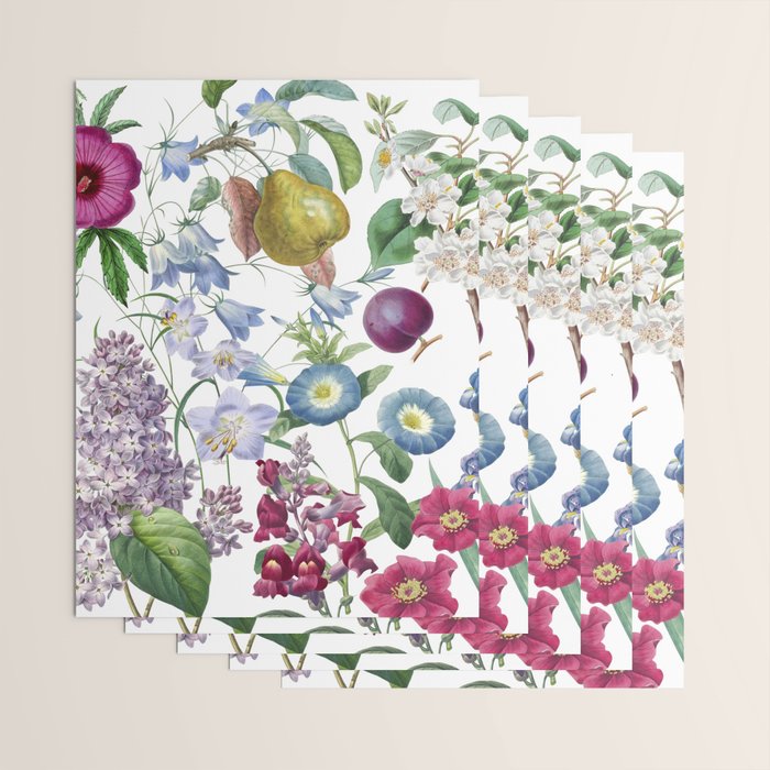 Summer Fruits Botanical Illustration Collage Wrapping Paper Gallery Image 3