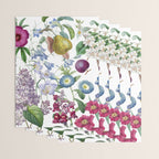 Summer Fruits Botanical Illustration Collage Wrapping Paper Gallery Image 3