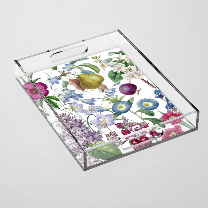 Summer Fruits Botanical Illustration Collage Acrylic Tray Gallery Image 1