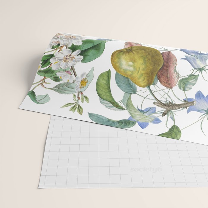 Summer Fruits Botanical Illustration Collage Wrapping Paper Gallery Image 2