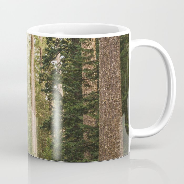 Redwood Forest Black Bear Adventure - National Parks Nature Photography Coffee Mug Gallery Image 1