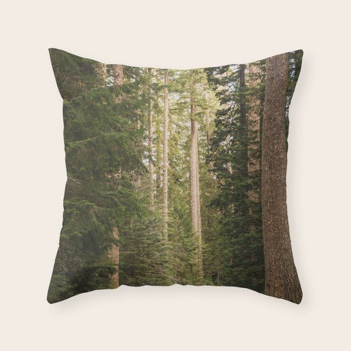 Redwood Forest Black Bear Adventure - National Parks Nature Photography Throw Pillow Gallery Image 6