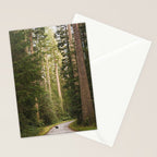 Redwood Forest Black Bear Adventure - National Parks Nature Photography Stationery Card Gallery Image 2