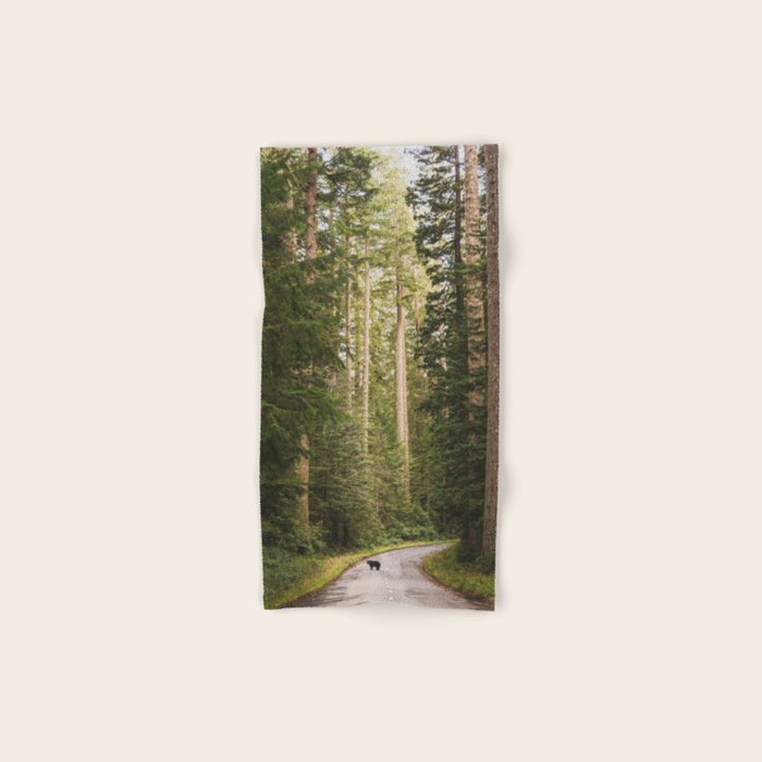 Redwood Forest Black Bear Adventure - National Parks Nature Photography Bath Towel Gallery Image 1