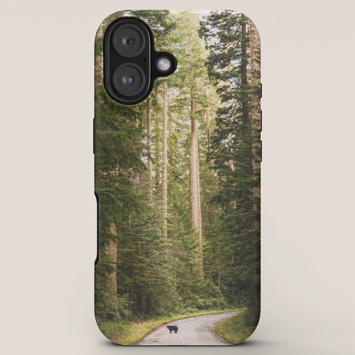 Redwood Forest Black Bear Adventure - National Parks Nature Photography iPhone Case Gallery Image 5