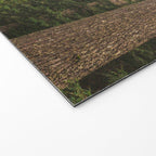Redwood Forest Black Bear Adventure - National Parks Nature Photography Welcome Mat Gallery Image 2