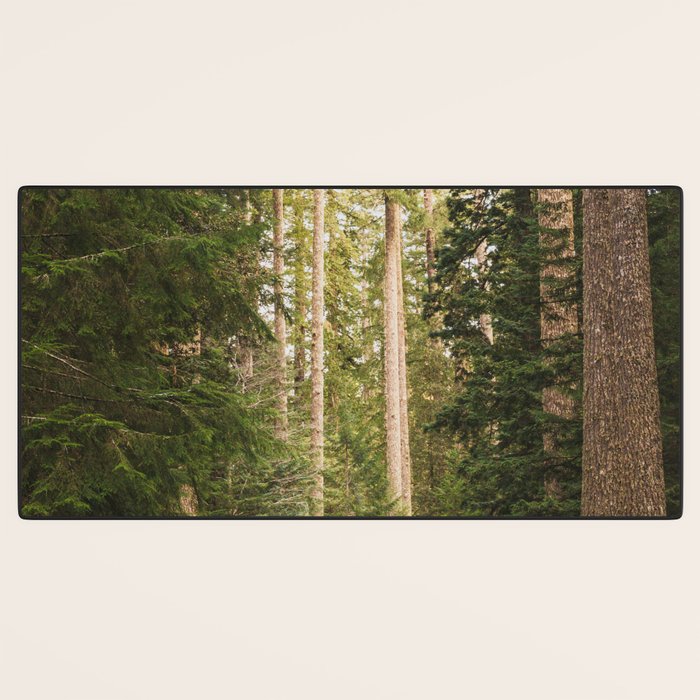 Redwood Forest Black Bear Adventure - National Parks Nature Photography Desk Mat Gallery Image 3