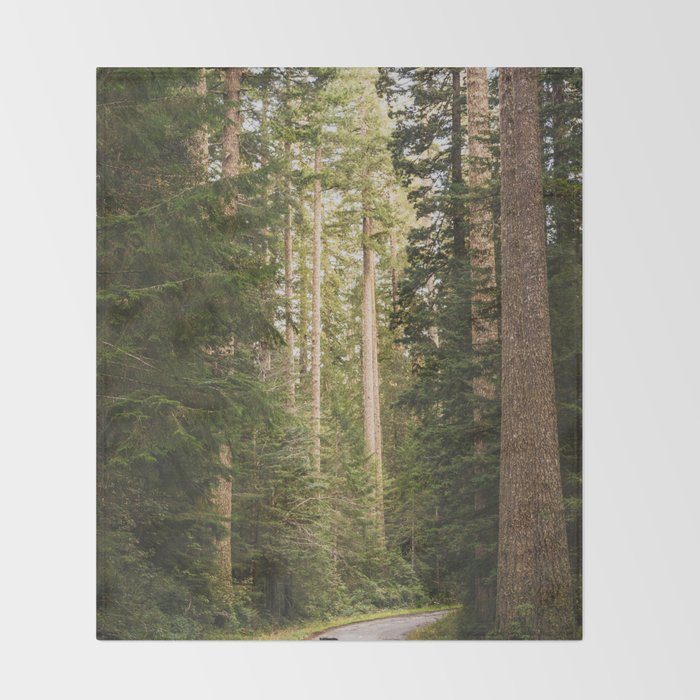 Redwood Forest Black Bear Adventure - National Parks Nature Photography Throw Blanket Gallery Image 2