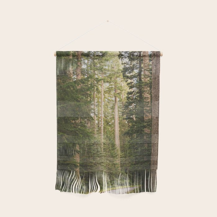 Redwood Forest Black Bear Adventure - National Parks Nature Photography Wall Hanging Gallery Image 1