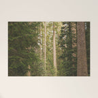 Redwood Forest Black Bear Adventure - National Parks Nature Photography Welcome Mat Gallery Image 1