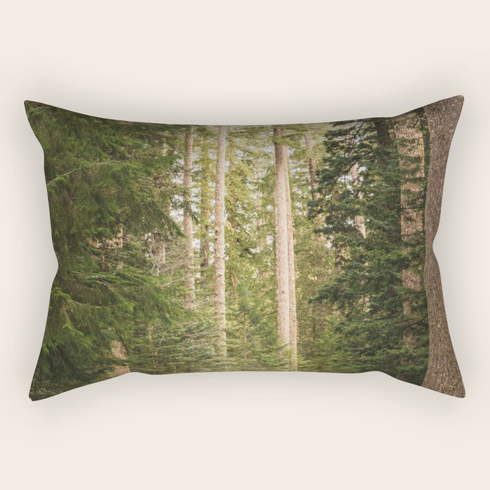 Redwood Forest Black Bear Adventure - National Parks Nature Photography Rectangular Pillow Gallery Image 2
