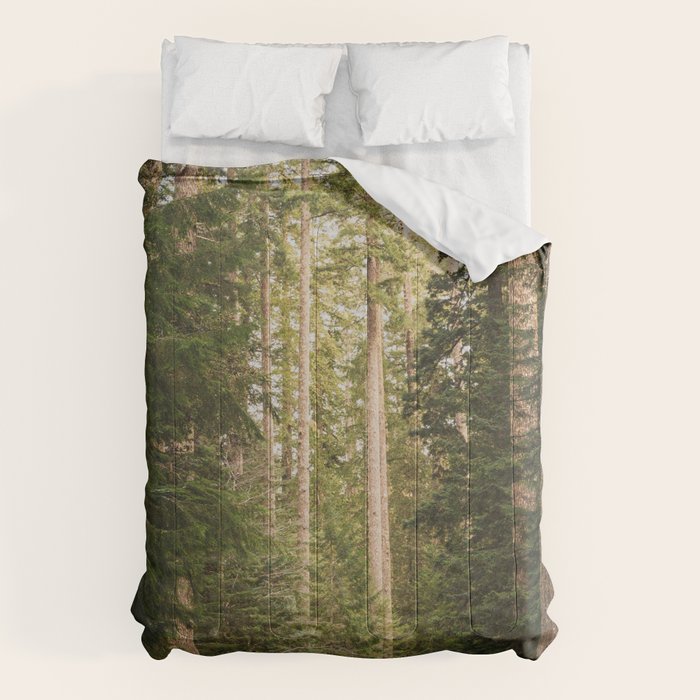 Redwood Forest Black Bear Adventure - National Parks Nature Photography Comforter Gallery Image 6