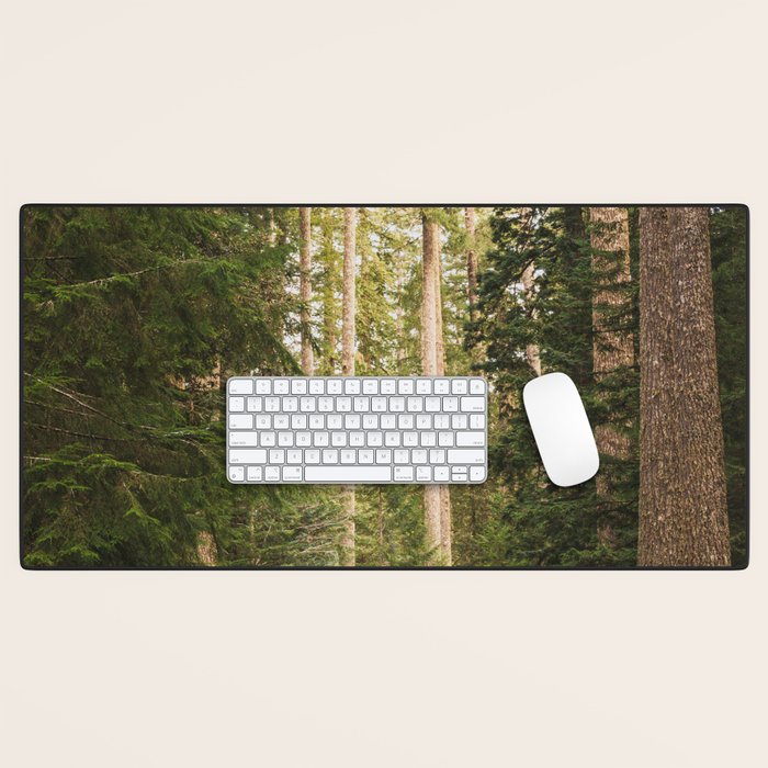 Redwood Forest Black Bear Adventure - National Parks Nature Photography Desk Mat Gallery Image 1