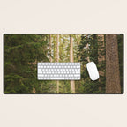Redwood Forest Black Bear Adventure - National Parks Nature Photography Desk Mat Gallery Image 1