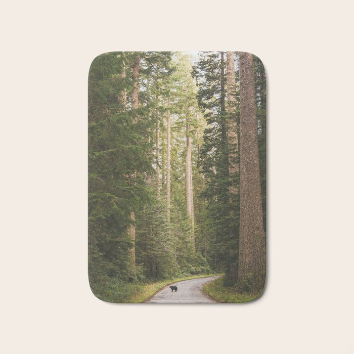 Redwood Forest Black Bear Adventure - National Parks Nature Photography Bath Mat Gallery Image 1