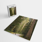 Redwood Forest Black Bear Adventure - National Parks Nature Photography Jigsaw Puzzle Gallery Image 2