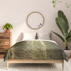 Redwood Forest Black Bear Adventure - National Parks Nature Photography Comforter Gallery Image 3