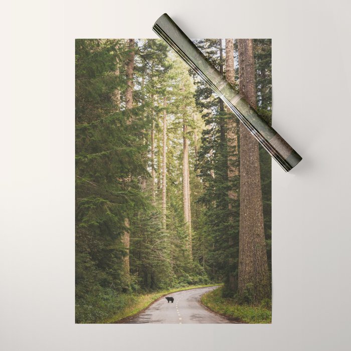 Redwood Forest Black Bear Adventure - National Parks Nature Photography Wrapping Paper Gallery Image 1