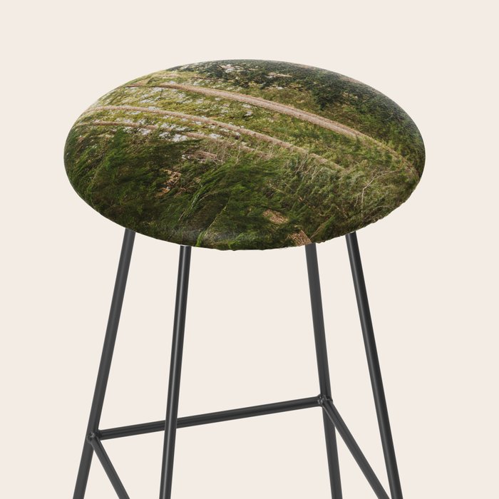 Redwood Forest Black Bear Adventure - National Parks Nature Photography Stool Gallery Image 2