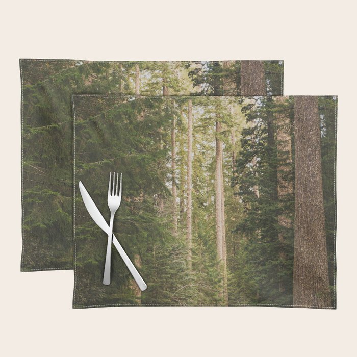 Redwood Forest Black Bear Adventure - National Parks Nature Photography Placemat Gallery Image 1