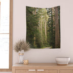Redwood Forest Black Bear Adventure - National Parks Nature Photography Wall Tapestry Gallery Image 2