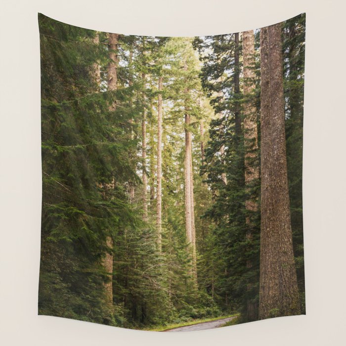Redwood Forest Black Bear Adventure - National Parks Nature Photography Wall Tapestry Gallery Image 4