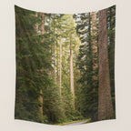 Redwood Forest Black Bear Adventure - National Parks Nature Photography Wall Tapestry Gallery Image 4