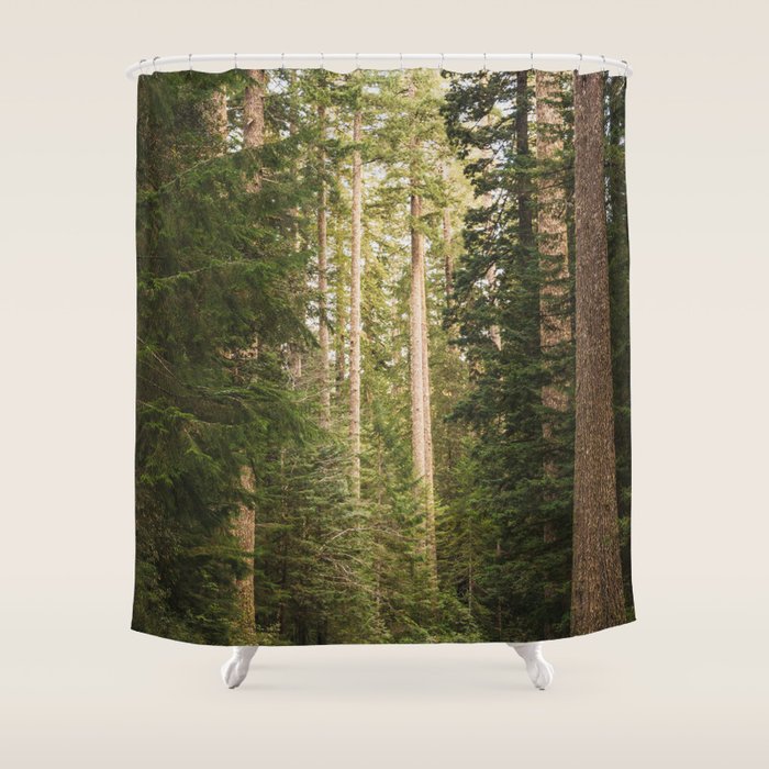 Redwood Forest Black Bear Adventure - National Parks Nature Photography Shower Curtain Gallery Image 1
