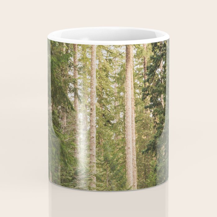 Redwood Forest Black Bear Adventure - National Parks Nature Photography Coffee Mug Gallery Image 4