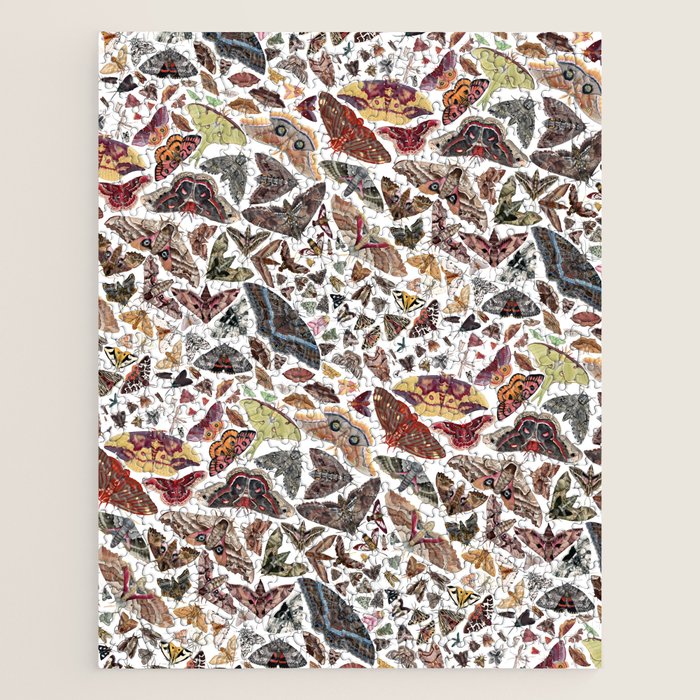 Moths of North America Pattern Jigsaw Puzzle Gallery Image 1