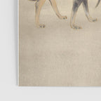 Two Sighthounds Poster Gallery Image 3