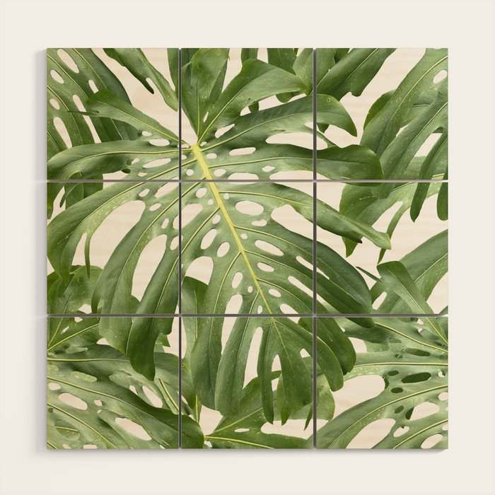 Vibrant tropical foliage on white Wood Wall Art Gallery Image 1