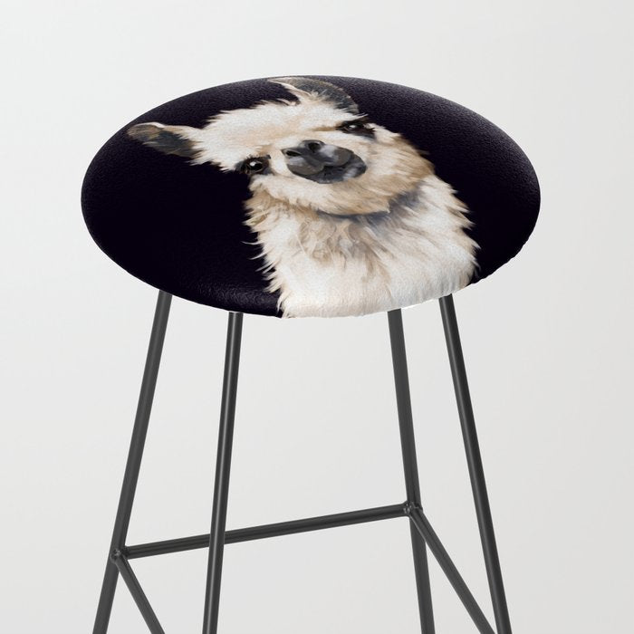 Sneaky Llama in Black Stool Gallery Image 2