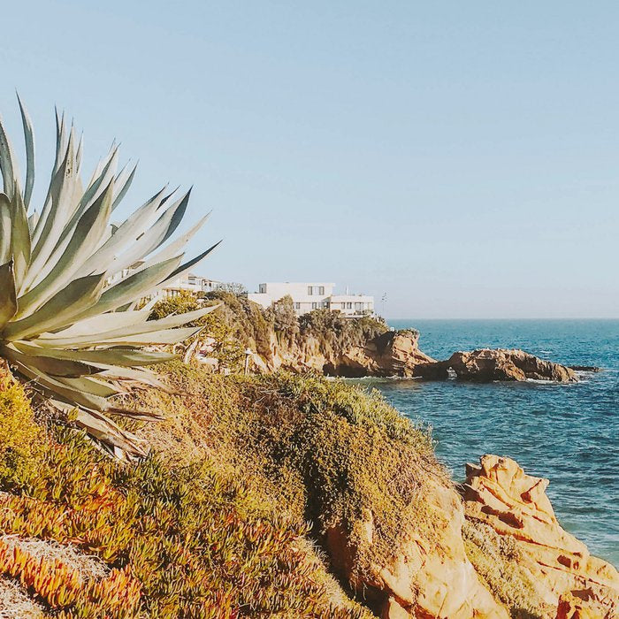 california coast xiv / laguna beach Coffee Mug Gallery Image 2