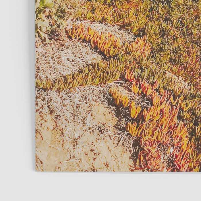 california coast xiv / laguna beach Poster Gallery Image 3